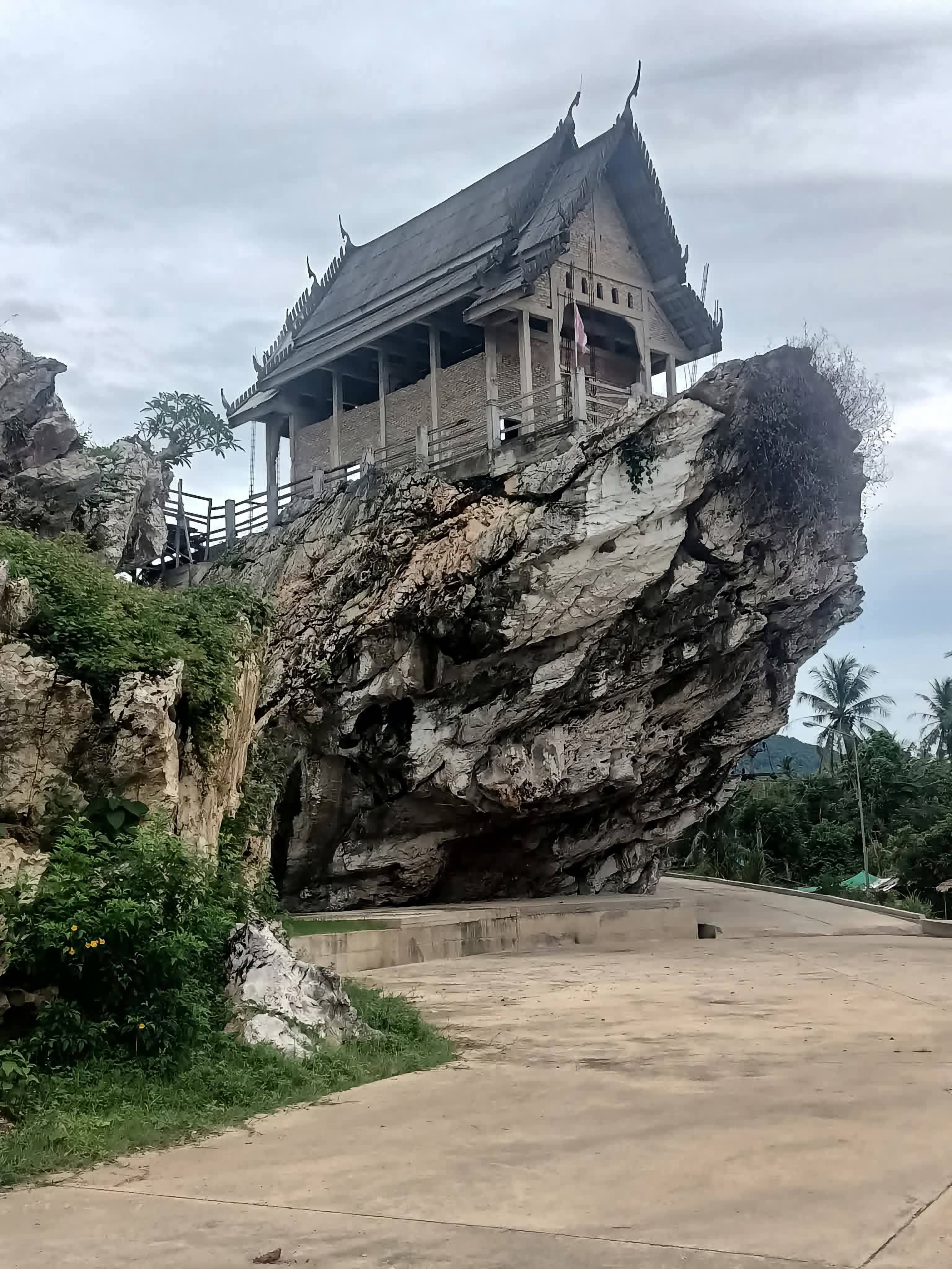 รองเท้าแตะนึ่งมะนาว, photo 1 of 1